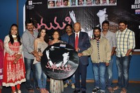 Madhumati Movie Audio Release